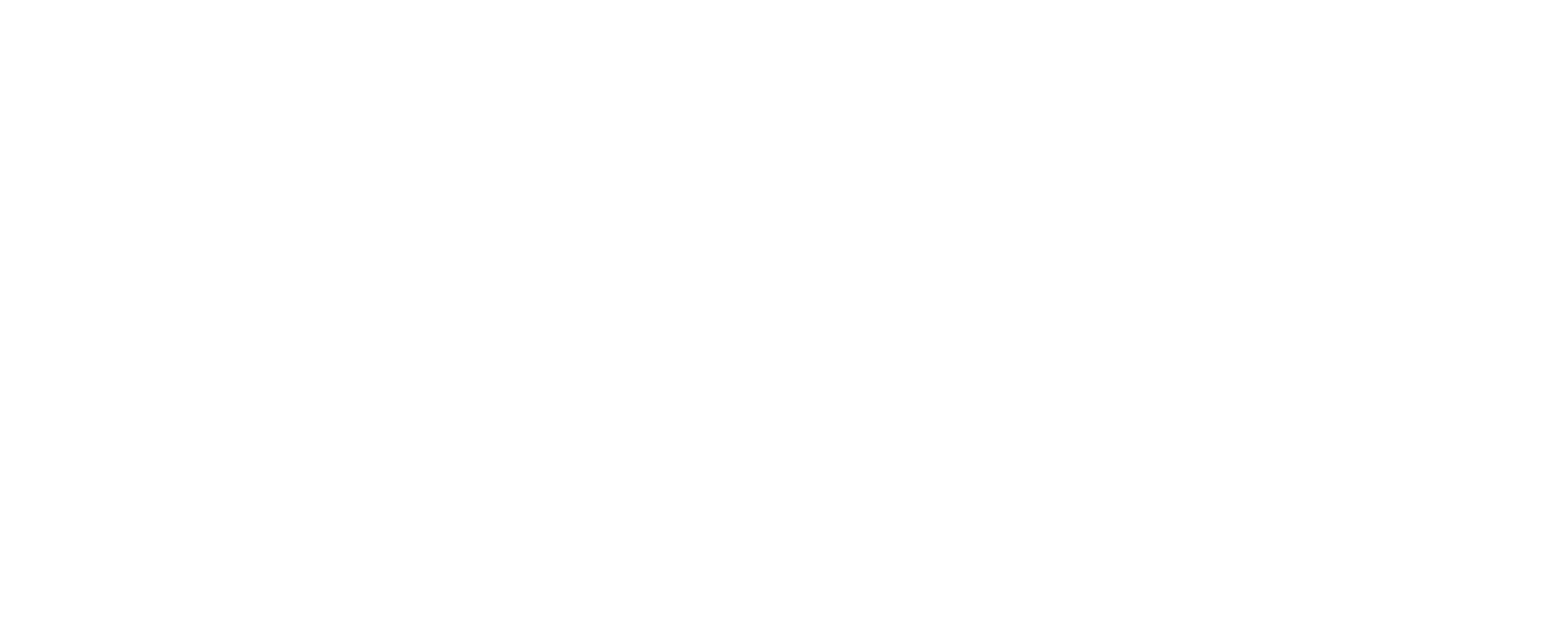 Google ChromeOS